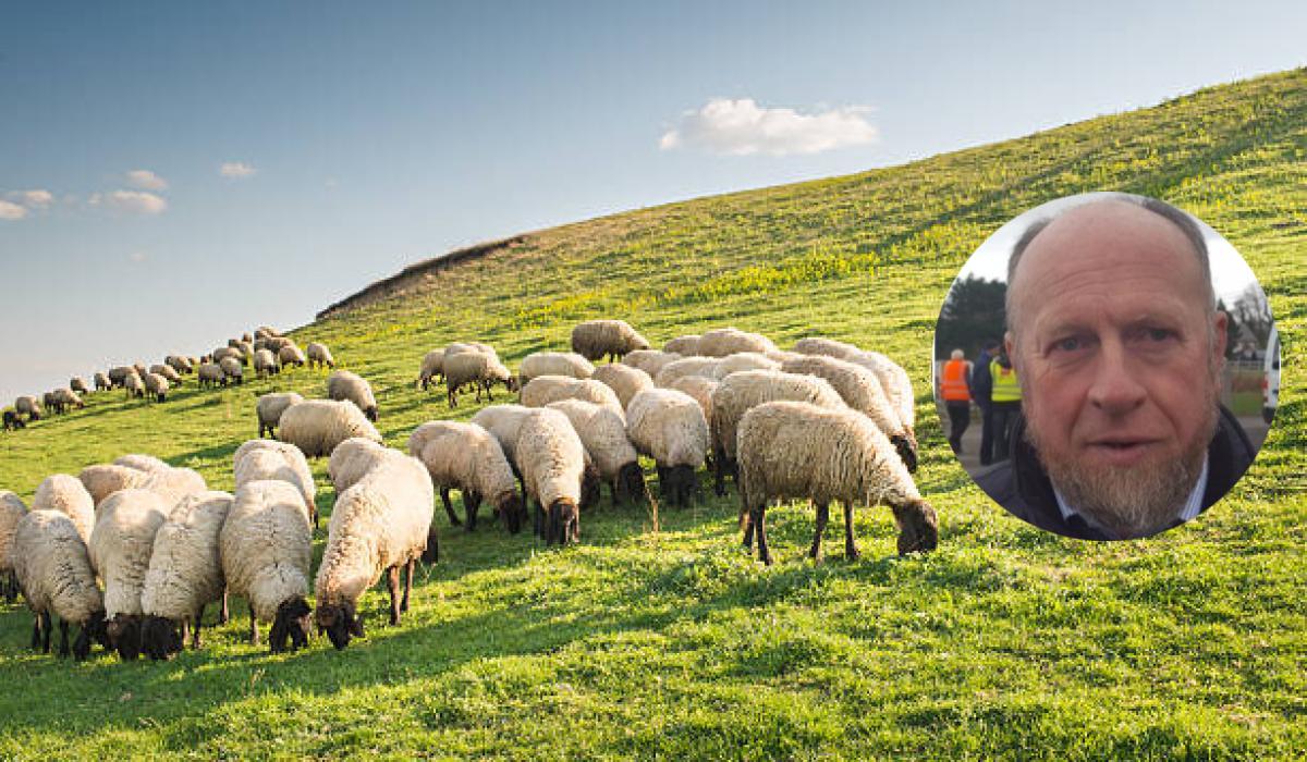 Kinlough’s James Gallagher elected Chair of IFA Hill Farming Committee