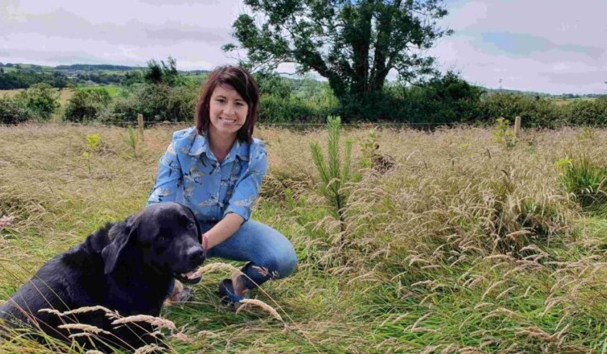 Final call for Donegal residents to apply for Hare’s Corner biodiversity project