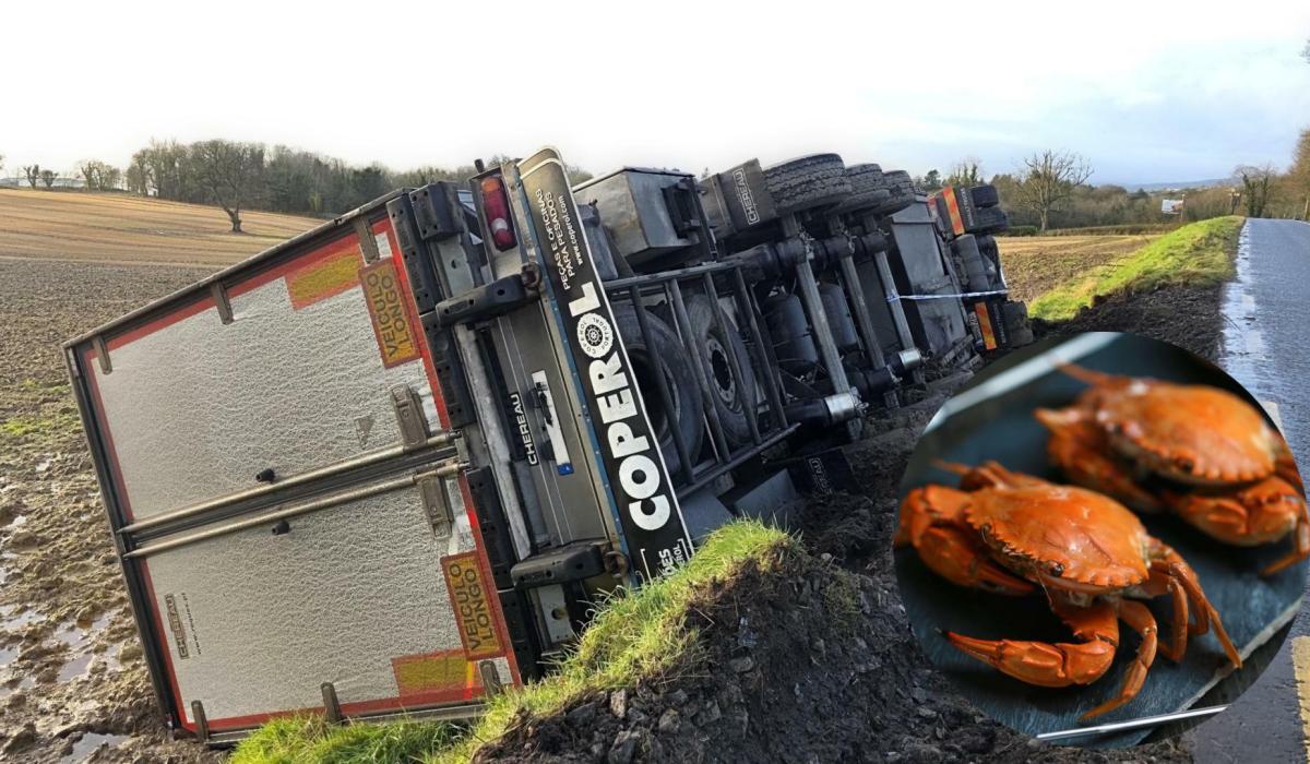 15,000 crabs bound for Portugal almost make a getaway following crash in Donegal