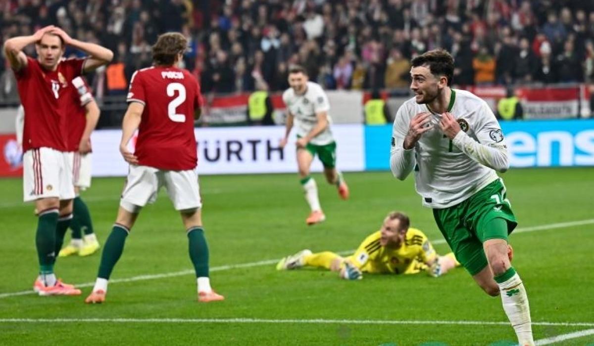 Call to extend Donegal pub opening hours if Ireland makes the World Cup