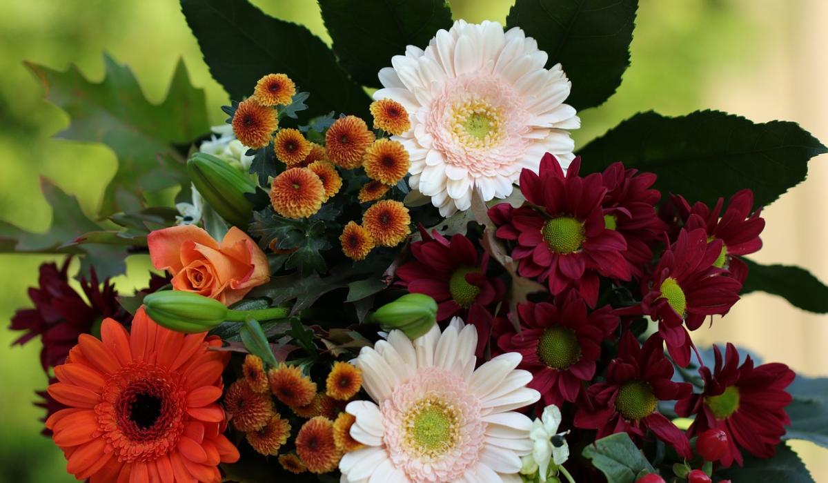 Death notices and funeral arrangements for Donegal on Friday morning, February 6