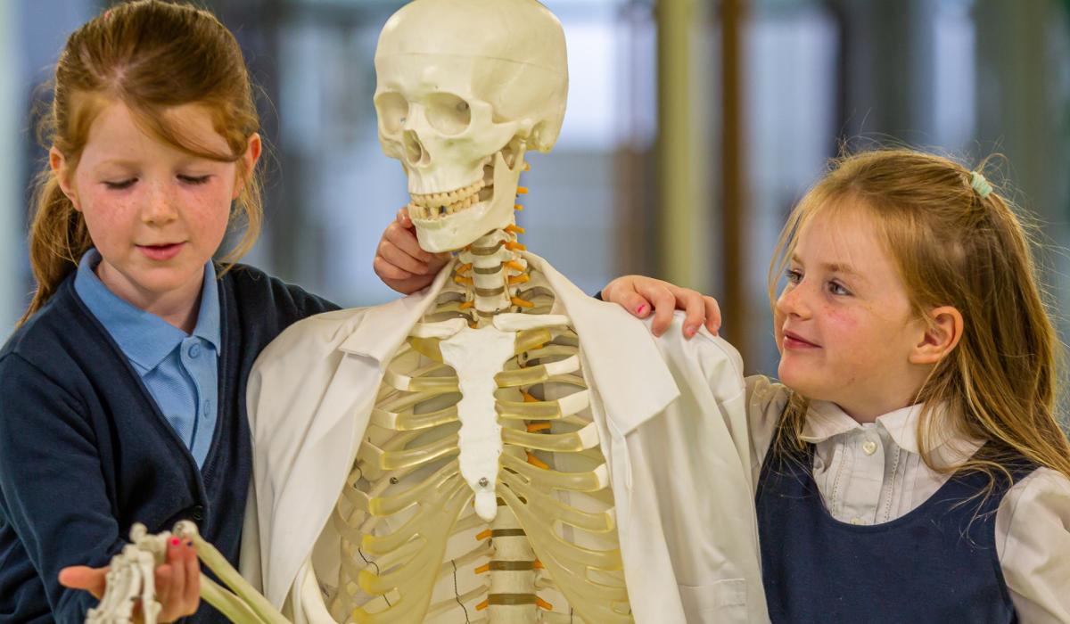 Lurgybrack&nbsp;National School, Letterkenny to represent Donegal at STEMtacular