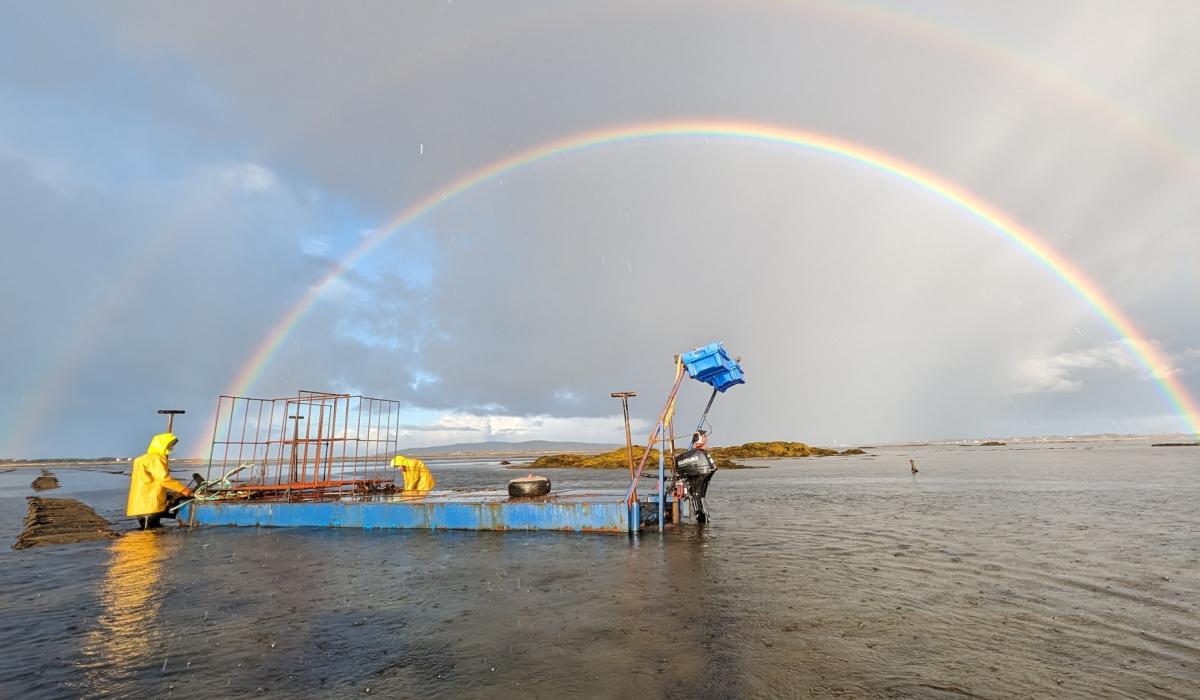 Listening to oysters – Meet the Donegal farmer innovating with acoustics
