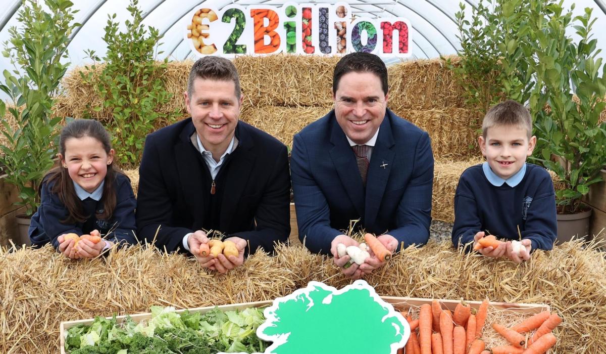 Lidl procured more than €62m in goods and services from Donegal suppliers in 2025