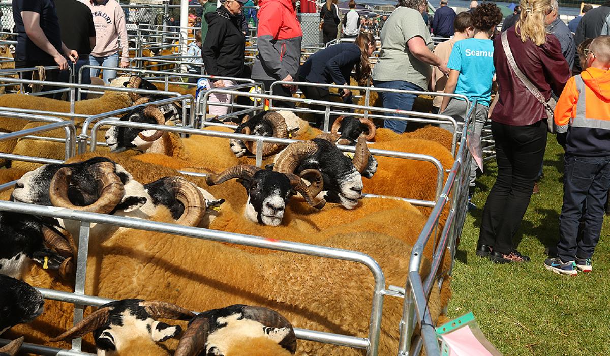 Seven agricultural shows in Donegal have received funding totalling €59,400