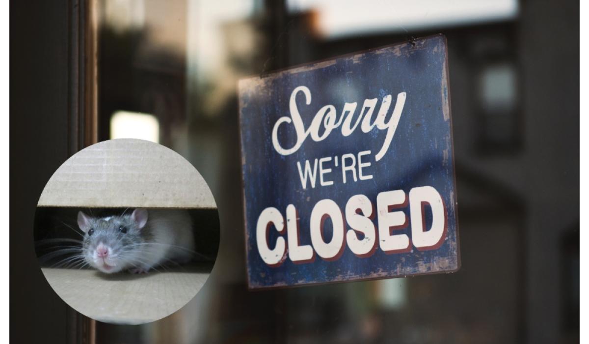 'Rat droppings on food' - Letterkenny food store forced to close doors in February