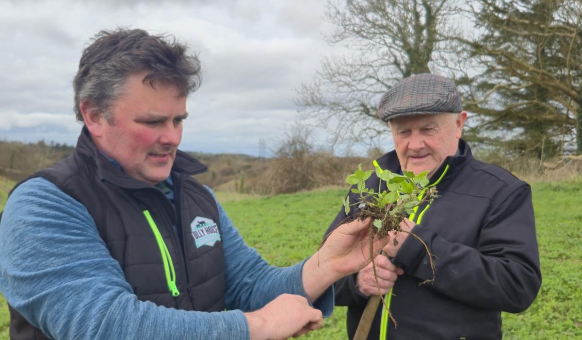 From a total herd wipeout to full organic farming in Ballyshannon