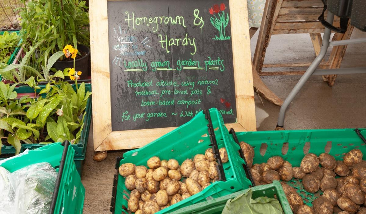 Rossnowlagh Farmers Market is on the move with new venue announced