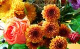 Death notices and funeral arrangements for Donegal on Monday morning, September 22