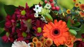 Death notices for Donegal on Monday morning, September 8