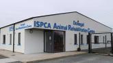 Call for resistance against 'faceless Dublin bureaucrats' to save Donegal ISPCA
