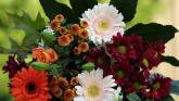 Death notices for Donegal on Monday morning, September 8
