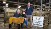In pictures: Donegal Pedigree Suffolk Breeders show and sale at Raphoe Mart