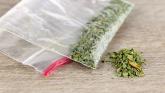 ‘Smell of cannabis was coming from the car’ when gardai questioned the driver