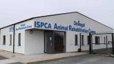 Protest to be held against the closure of Donegal ISPCA centre