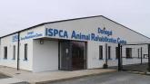 Closure of rehabilitation centre ‘a serious setback for animal welfare in Donegal’