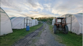 Údarás na Gaeltachta secures planning retention at Falcarragh horticulture enterprise
