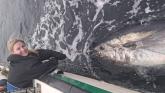 Watch: Donegal woman catches a massive 760lb Bluefin Tuna   