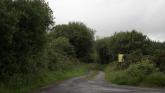 New telecommunications mast proposed for Lisnagra forest at Muff