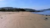 Buncrana woman was almost SIX times the limit when she crashed van at local beach