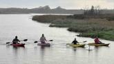 ‘Whooper’ rescue at Culdaff as kayakers rise with the lark to capture injured swan