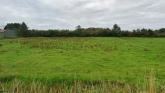 Permission sought from Donegal County Council for 60 homes near Letterkenny