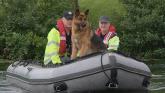 New request to be made for establishment of Garda dog unit in Donegal