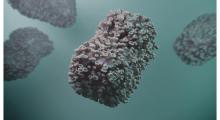 What is the Mpox virus as HSE confirms cluster of more serious strain detected in Ireland