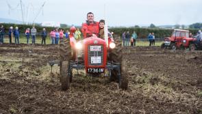 Did they break the record for most Ferguson tractors in a field in Donegal at the weekend?