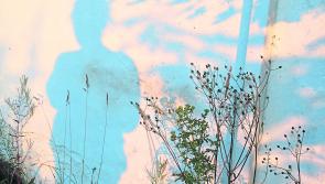 WOMEN'S LIVES: Making friends with the mirror