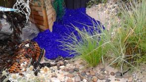 Foroige Ploughing Championship Garden comes home to Ballyshannon