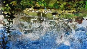 Artist Ann Quinn’s solo Dublin show on through tomorrow