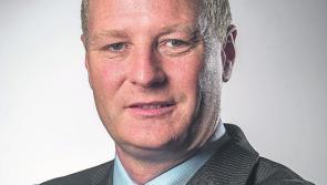 TD welcomes bill to regulate eviction enforcers