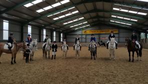 Final week of Dressage at Deane's, Bruckless