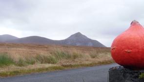 Samhain Harvest event set for Falcarragh
