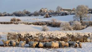 Bookmakers offering 7/2 for warmest Christmas Day ever