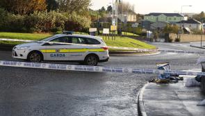 Gardaí seeking witnesses to early morning assault