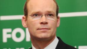 Coveney concerned as Palestinian NGOs supported by Irish Aid classed as terrorists