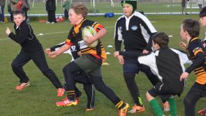 Photo Gallery: Letterkenny teams at rugby mini-blitz