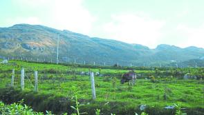 Furious Donegal farmers blast missed payment deadlines