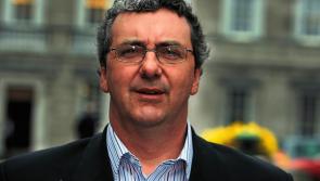 Donegal TD calls on government to divest from fossil fuels companies