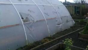 Donegal community garden group disheartened following vandalism 