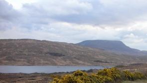 The weather in Donegal, Monday, February 13th