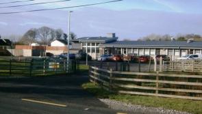 Concern over impact of proposed closure of veterinary laboratory on Donegal farmers
