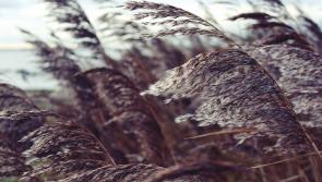 Today's weather in Donegal
