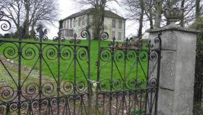 Mother and baby home burial grounds should be protected in development plan - Donegal TD