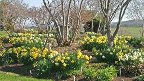 What's the weather going to be like today in Donegal?