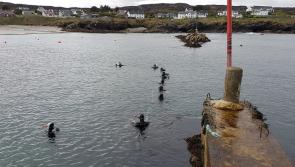 Training for Donegal search and recovery team
