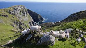 Weather in Donegal, Saturday morning, April 29th