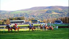 THE PUNTER'S EYE: Four horses to back this weekend 